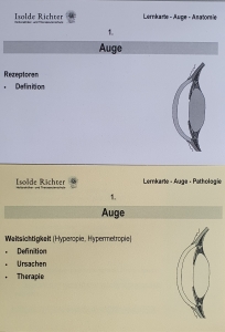 Auge-Lernkarten-