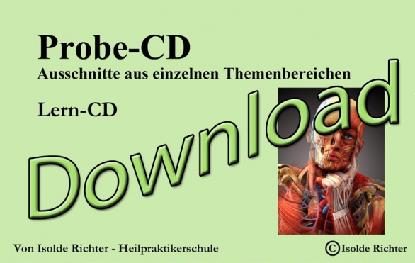 Bild 1 von Probe CD - kostenloser MP3 Download