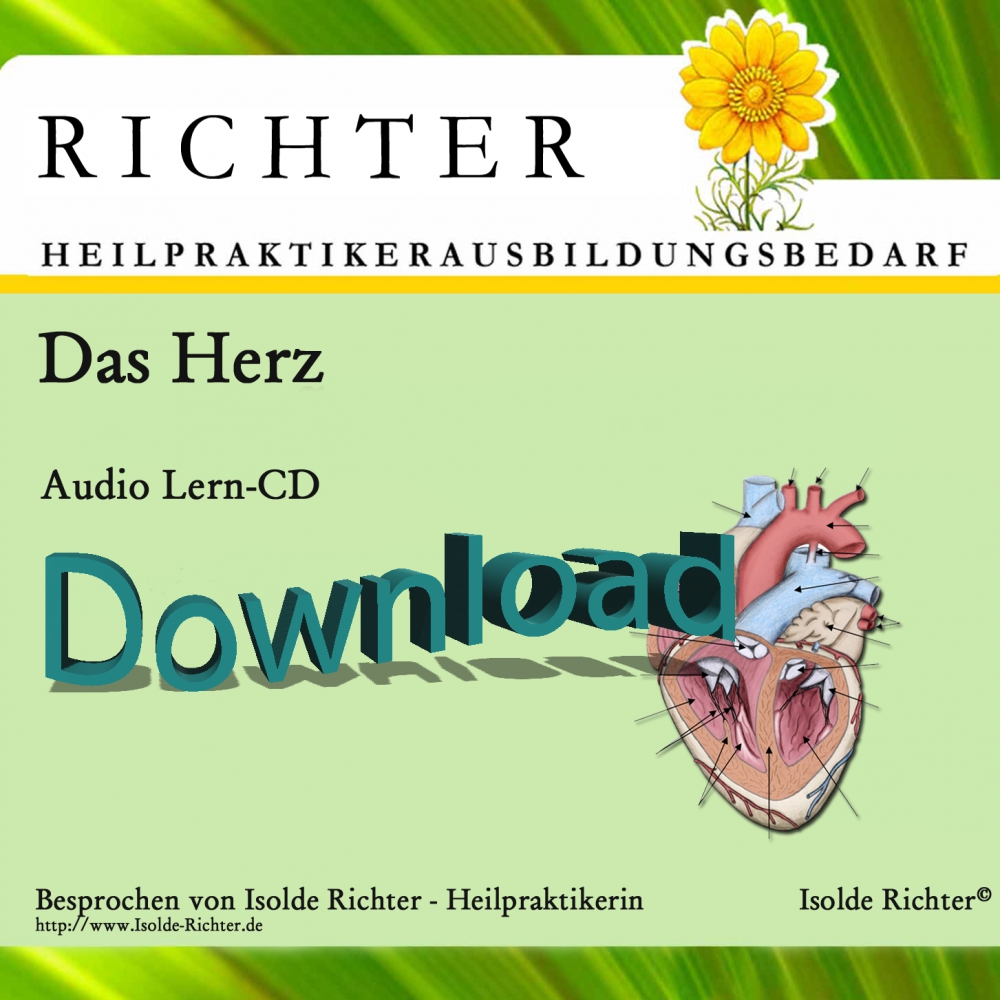 Bild 1 von Lern CD Herz  / (Download) Als Download