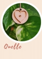 Bild 1 von HeartEase® Anhänger  / (Themen) Quelle