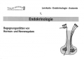 Hormone Lernkarten 