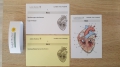 Bild 3 von Herz Lernkarten 